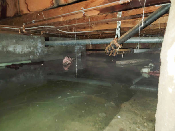 Best Emergency water damage restoration  in Drexel Heights, AZ