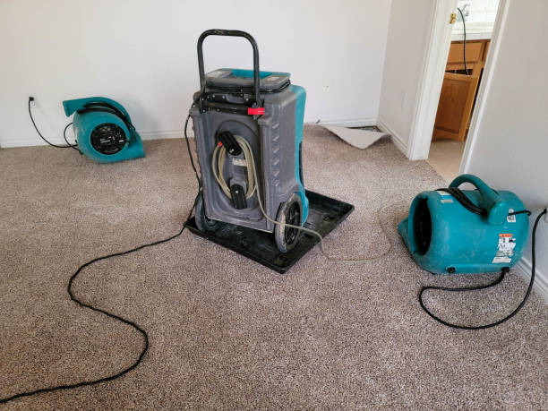 Best Local water damage restoration  in Drexel Heights, AZ