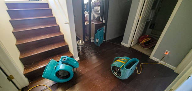 Best Carpet water damage restoration  in Drexel Heights, AZ