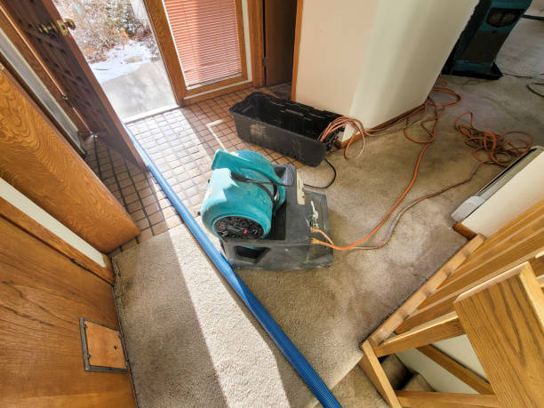 Local water damage restoration in AZ