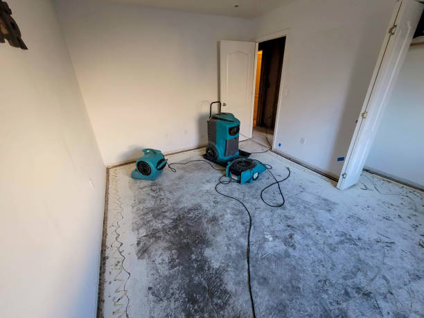 Best Local water damage restoration  in Drexel Heights, AZ