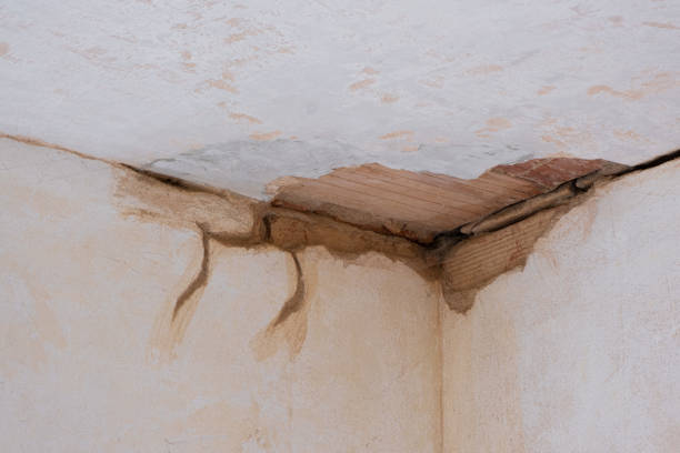 Best 24-hour water damage restoration  in Drexel Heights, AZ