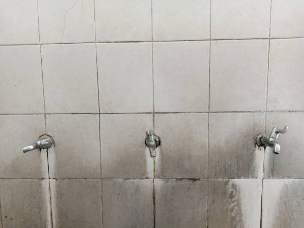 Best Ceiling water damage repair  in Drexel Heights, AZ